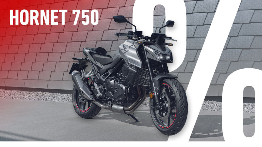 DEINE Hornet 750 | AB CHF 7'590.-